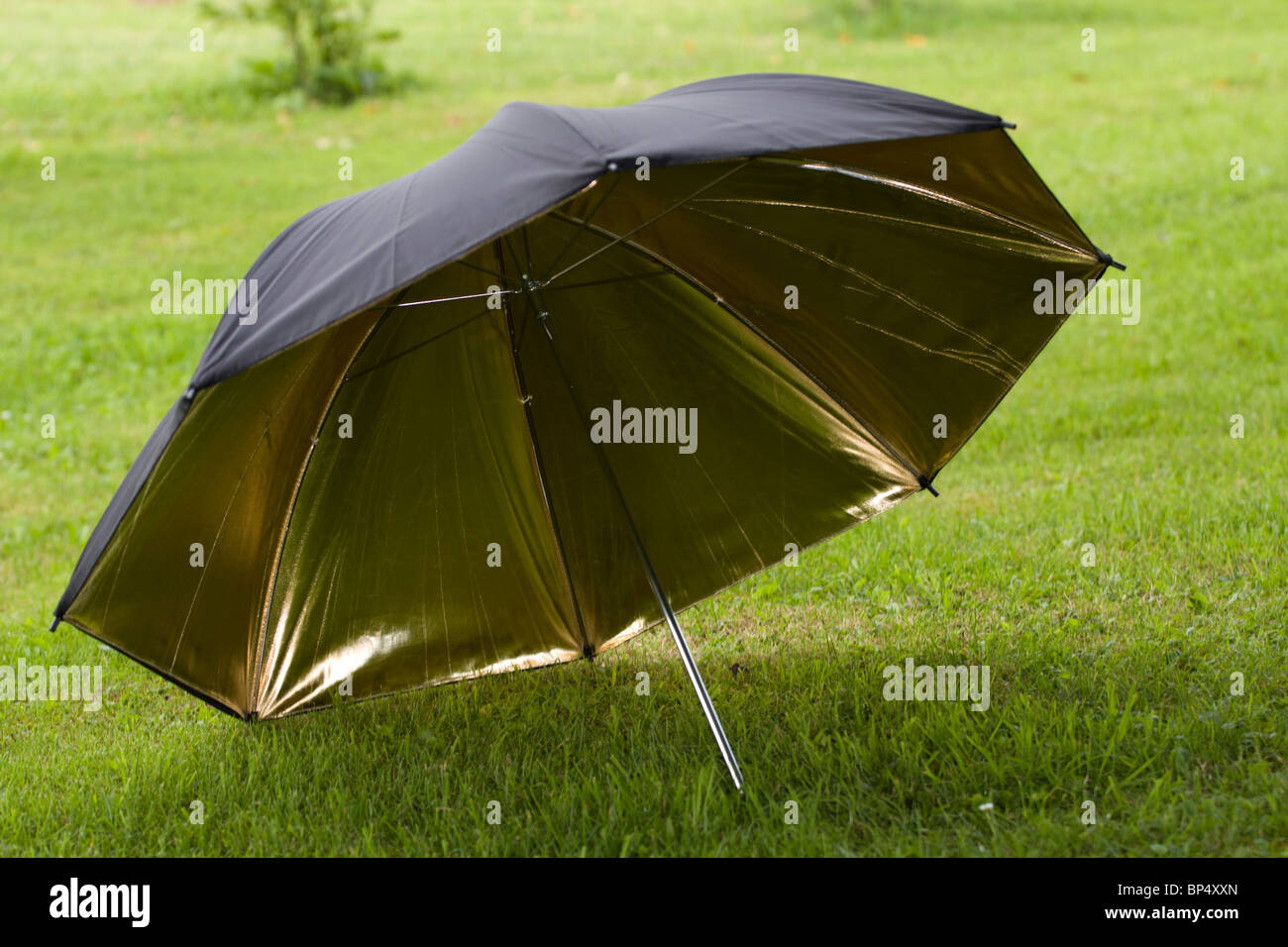 Studio fotografico in bianco e nero e oro ombrello riflettente sull'erba. Foto Stock