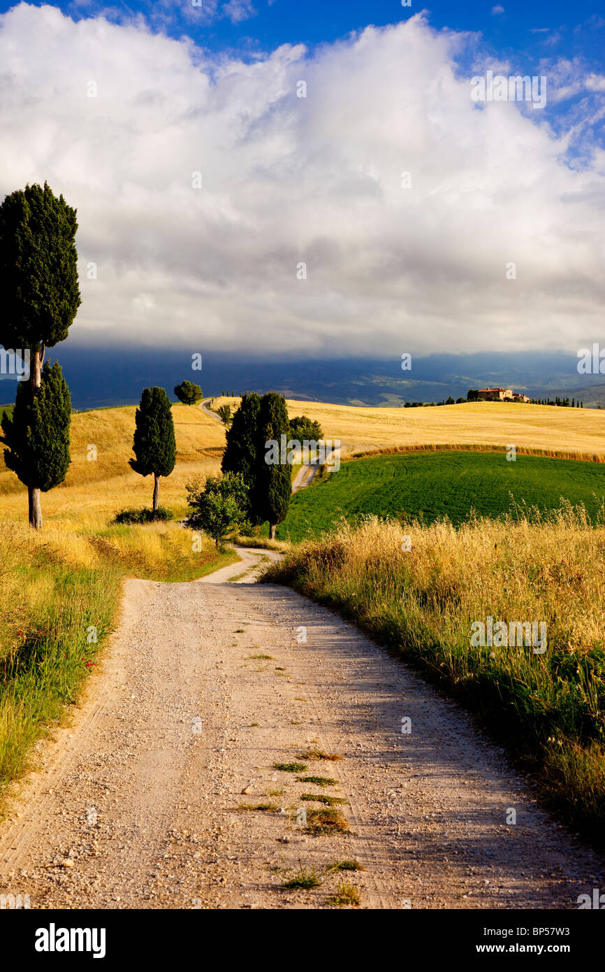 Vicolo del paese che conduce alla villa vicino a Pienza Toscana Italia Foto Stock