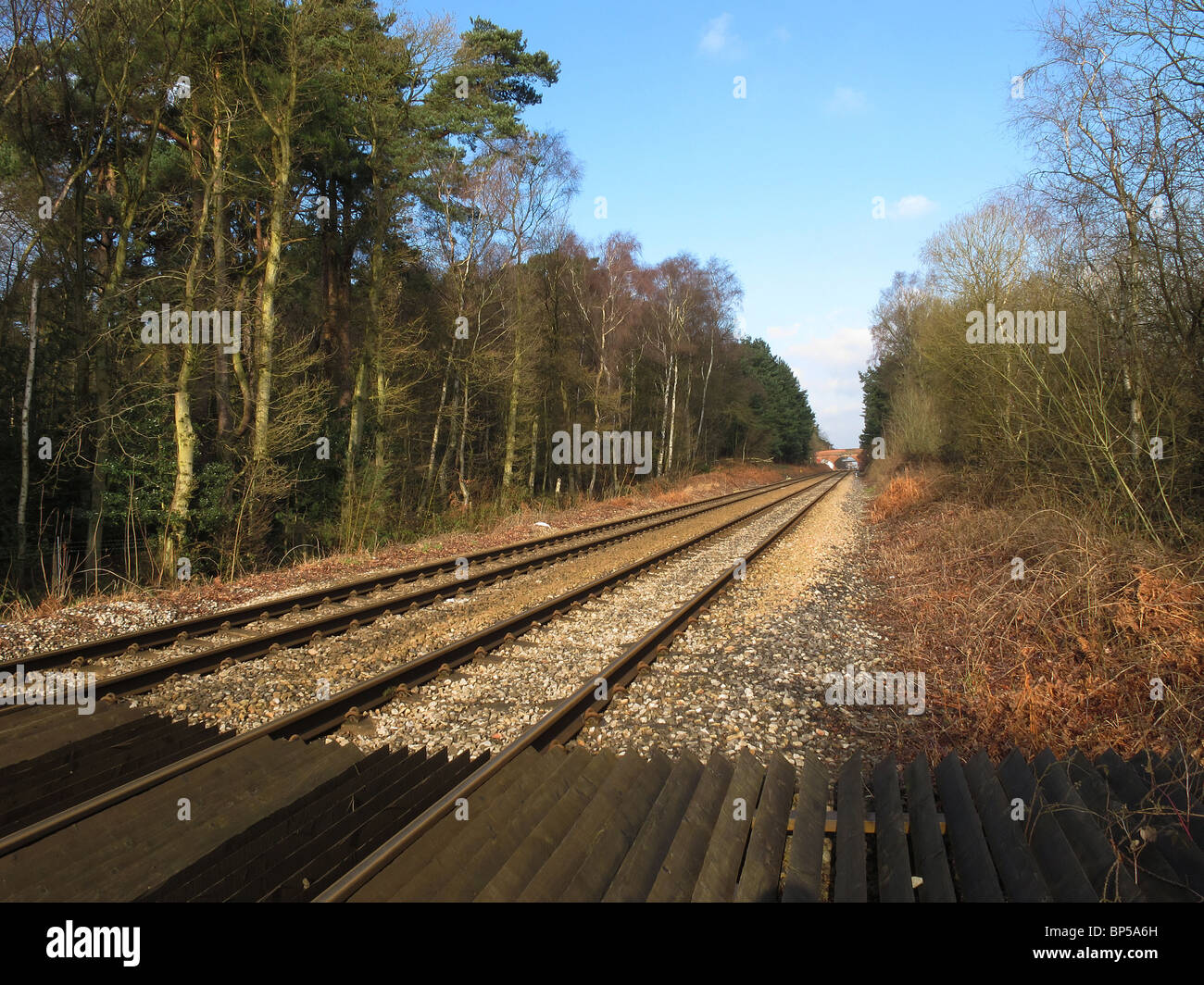 Rettilinee parallele linee ferroviarie nei pressi di Crowthorne Berkshire-1 Foto Stock