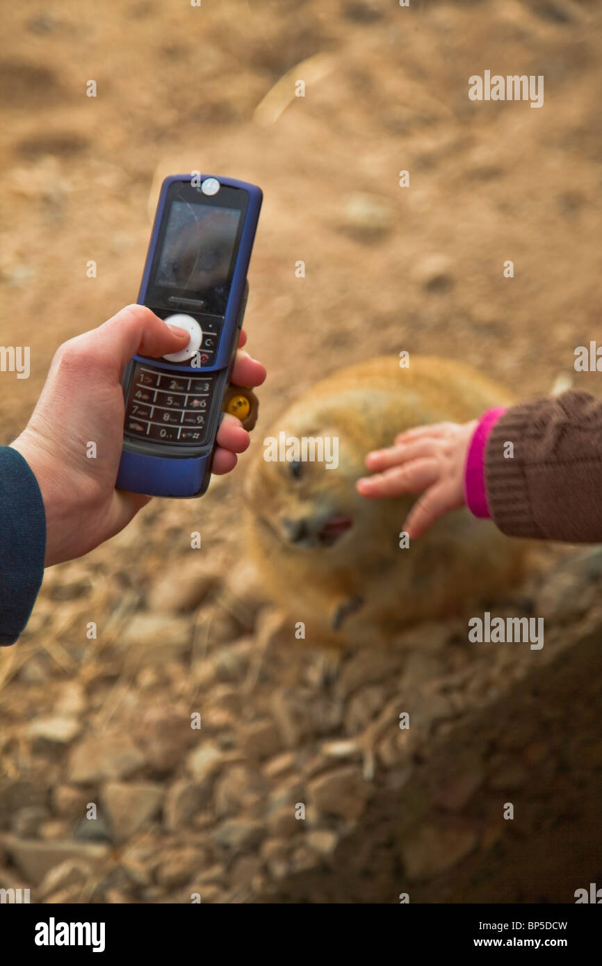 Immagine del giovane femmina mano tramite telefono cellulare per scattare una foto del bambino di raggiungere verso un cane della prateria. Foto Stock