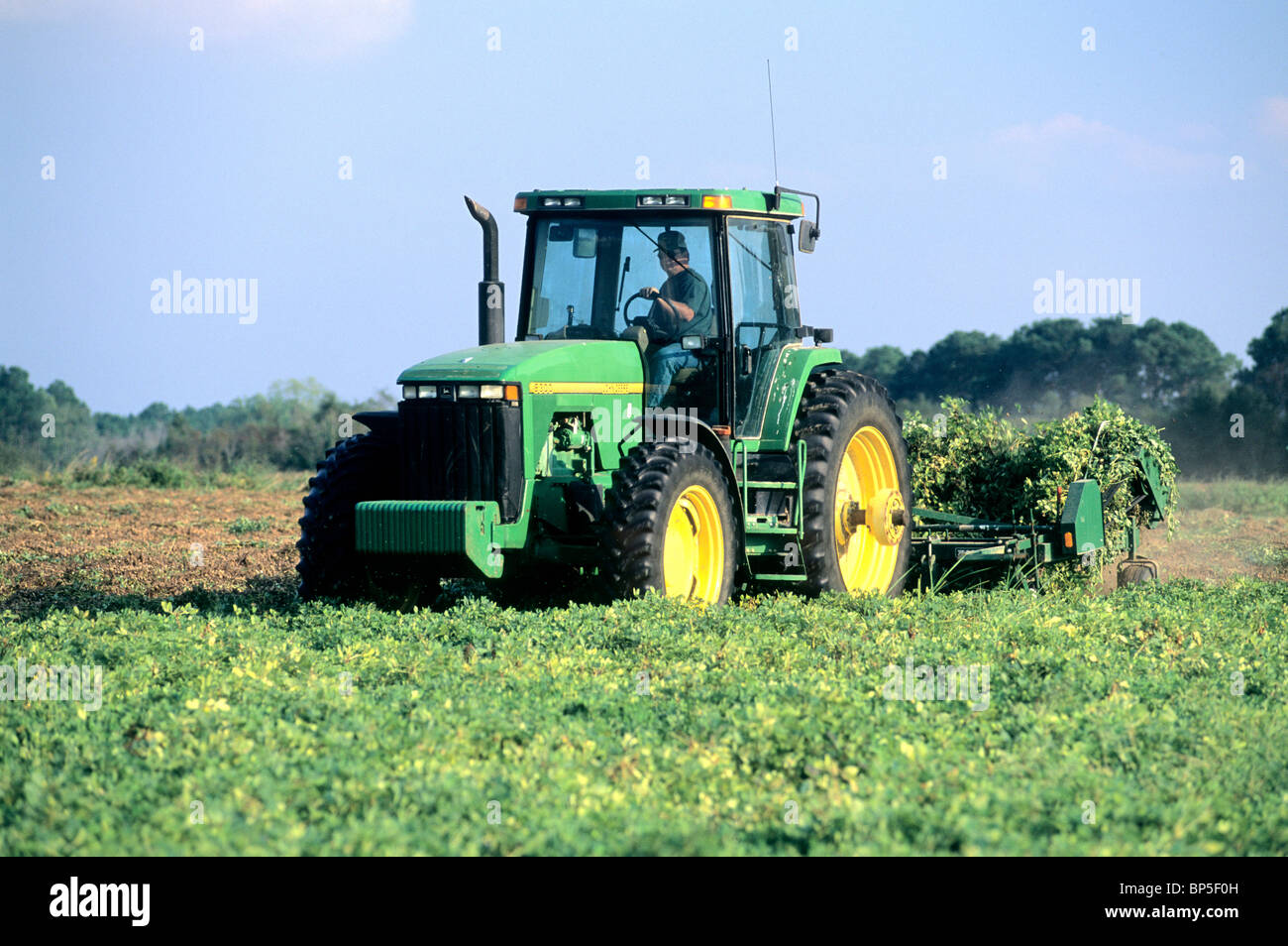 Funzionamento agricoltore trattore John Deere invertente raccolto arachidi Foto Stock