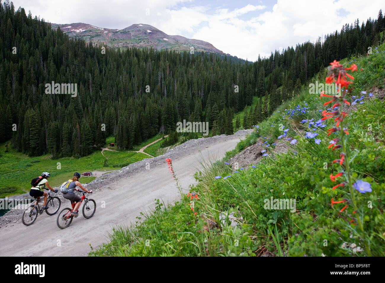 Vista estiva di mountain bikers riding remote Strada Gotica, a nord di Crested Butte, Colorado, STATI UNITI D'AMERICA Foto Stock