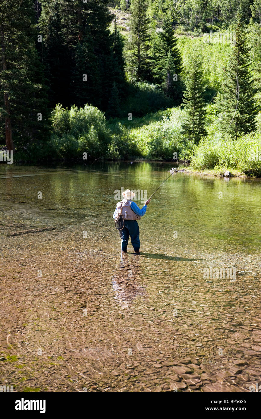 Ritirato gentleman di pesca a mosca nel Maroon Creek, Maroon Bells Snowmass area selvaggia, White River National Forest, Colorado, STATI UNITI D'AMERICA Foto Stock