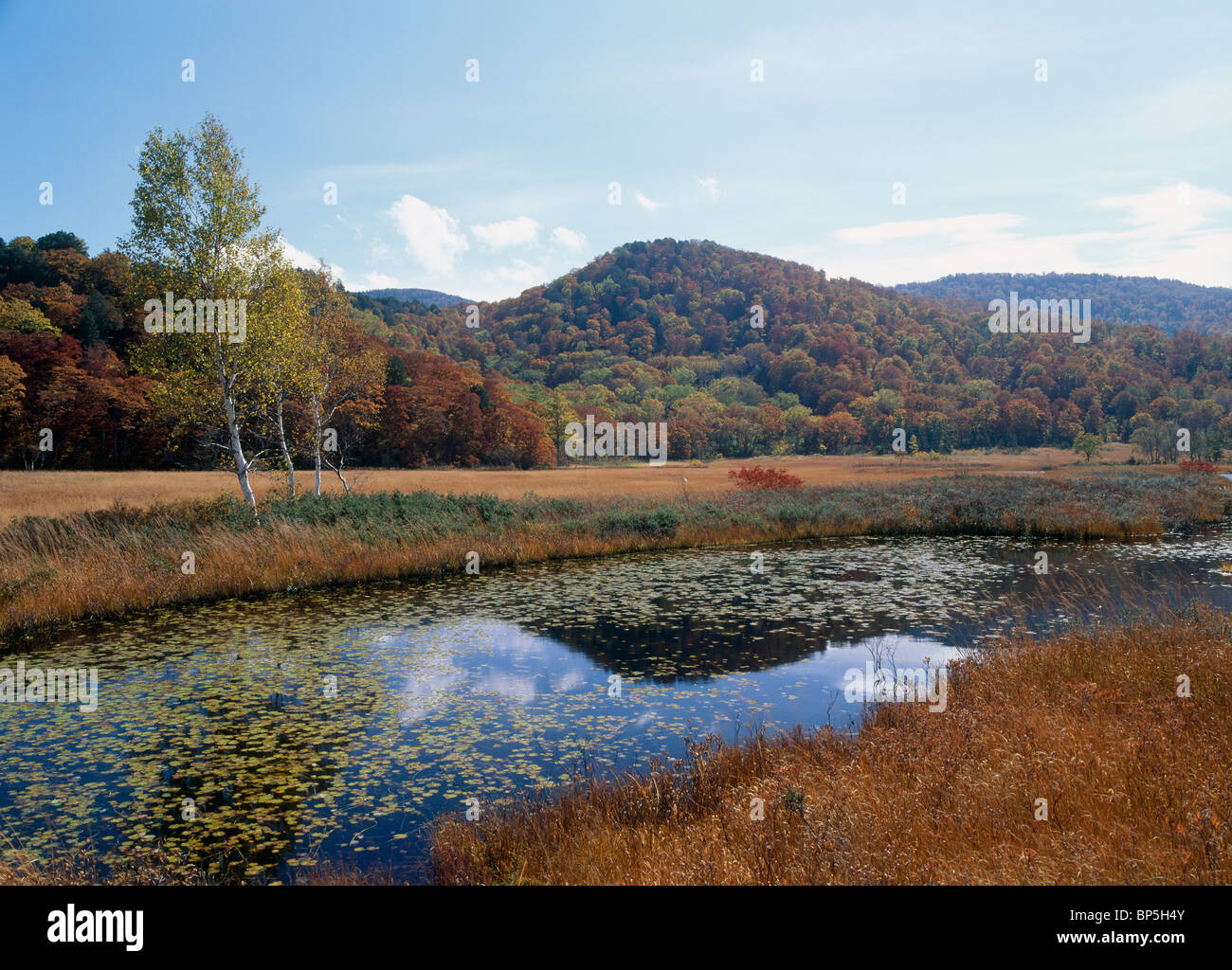 Oze, Katashina, Tono, Gunma, Giappone Foto Stock