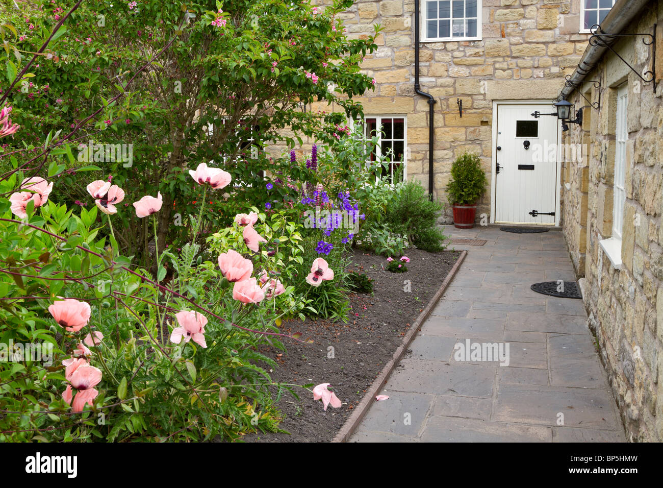 Casa e giardino frontale a Warkworth, Northumberland. Papaveri rosa e viola campanule e lupini in un giardino cottage. Foto Stock