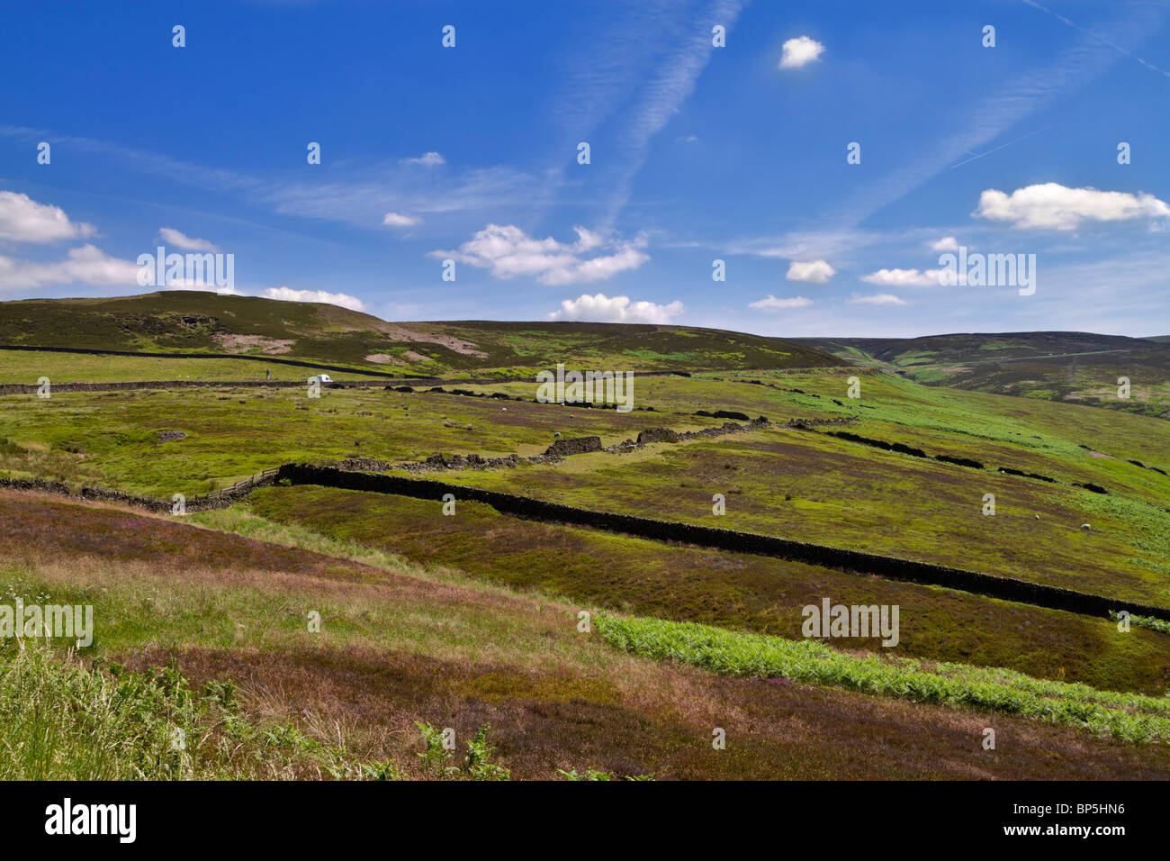 Muri in pietra a secco, pascoli ovini e la brughiera vicino alla parte superiore del serpente Pass, Derbyshire Foto Stock