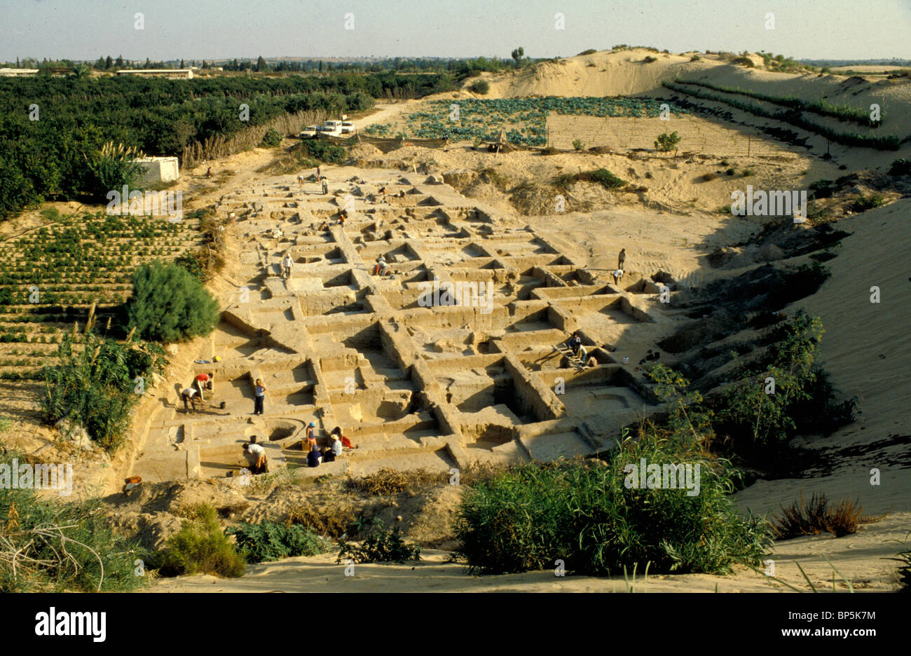 Gli scavi archeologici di ANTHROPOIDIC sepolture di DEIR-EL BALACH a sud di Gaza. Il sito è stato sepolto sotto dieci metri di sabbia alta Foto Stock