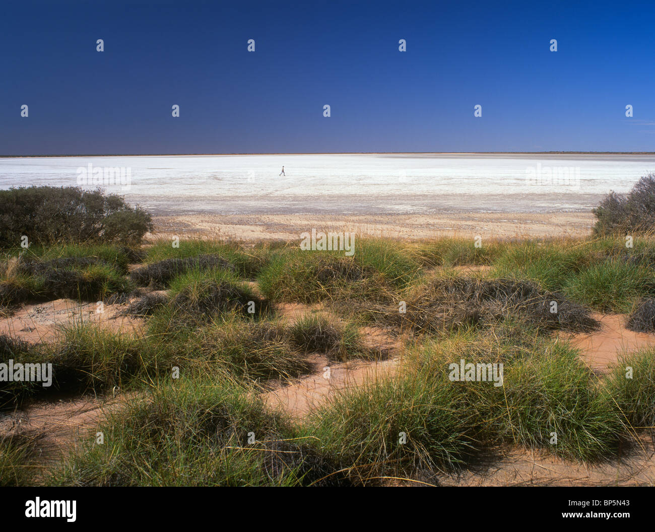 Asciugare Salt Lake, outback Australia Foto Stock