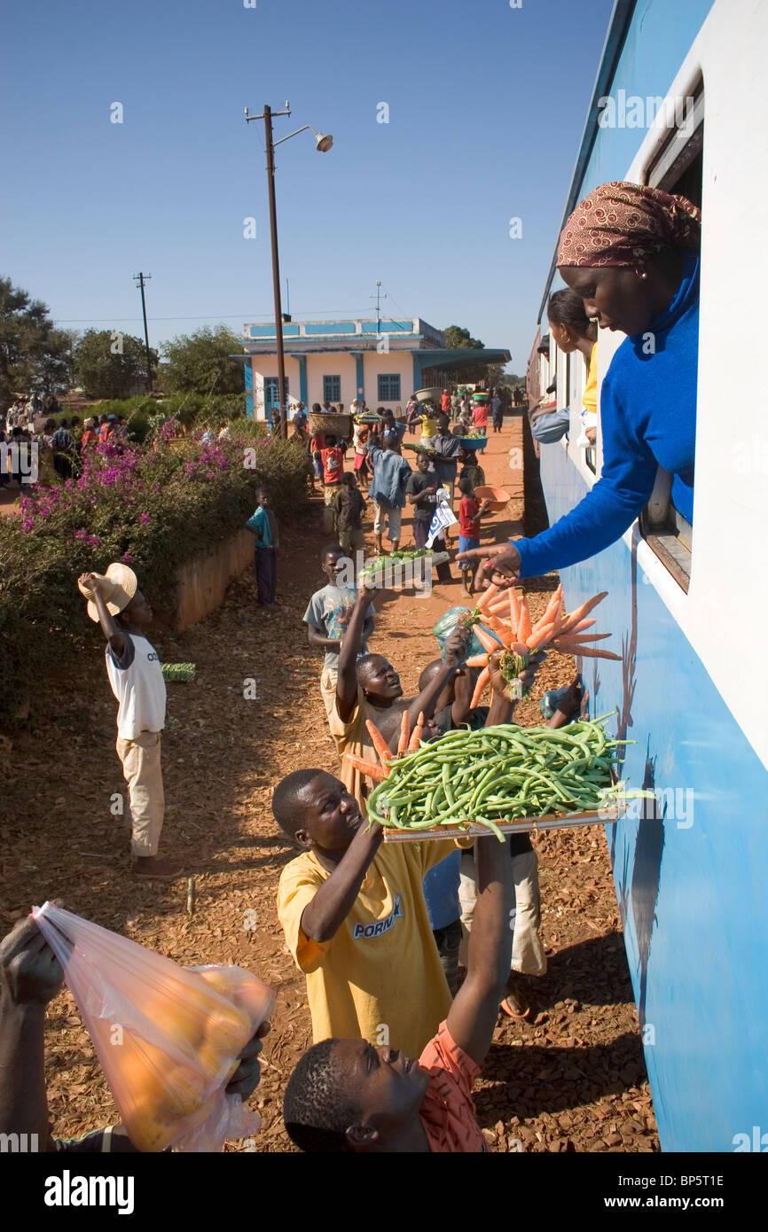 Signora in treno acquistare frutta e verdura dai fornitori durante il viaggio in treno tra Nampula e di Cuamba, Mozambico. Foto Stock