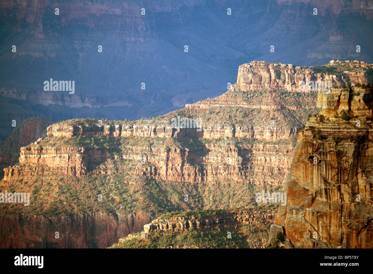Il Grand Canyon al tramonto dalla North Rim Lodge, Arizona, Stati Uniti d'America Foto Stock