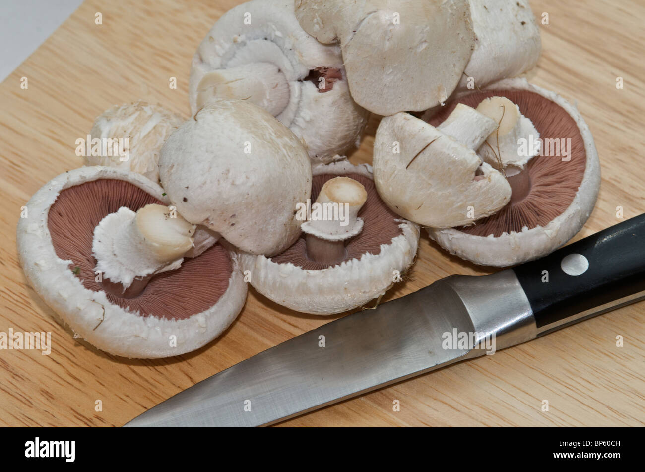 Campo organico o funghi prataioli (Agaricus campestris) pronto per l'uso in cucina Foto Stock