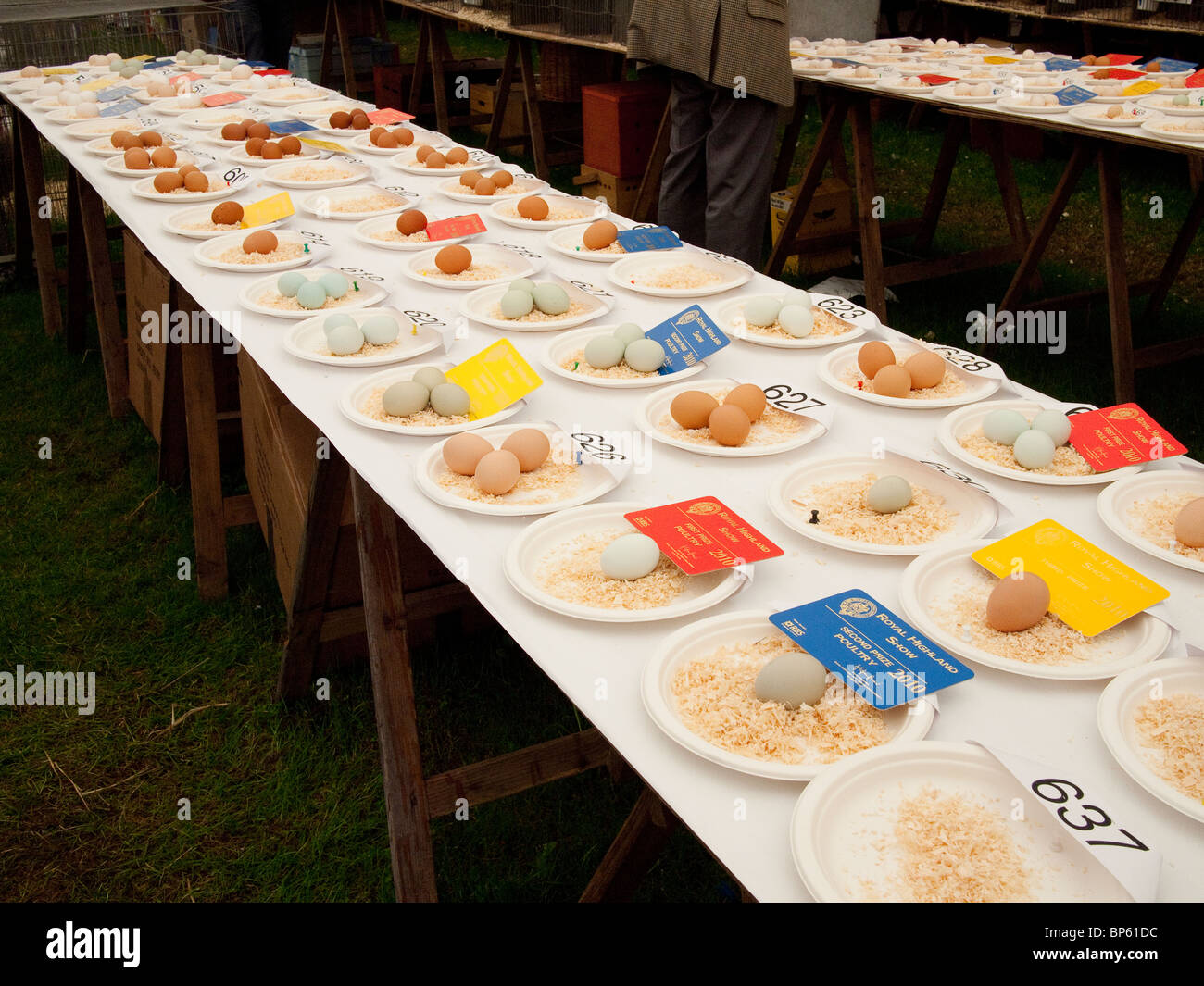 Display di uovo presso l'Highland Show, Edimburgo Foto Stock