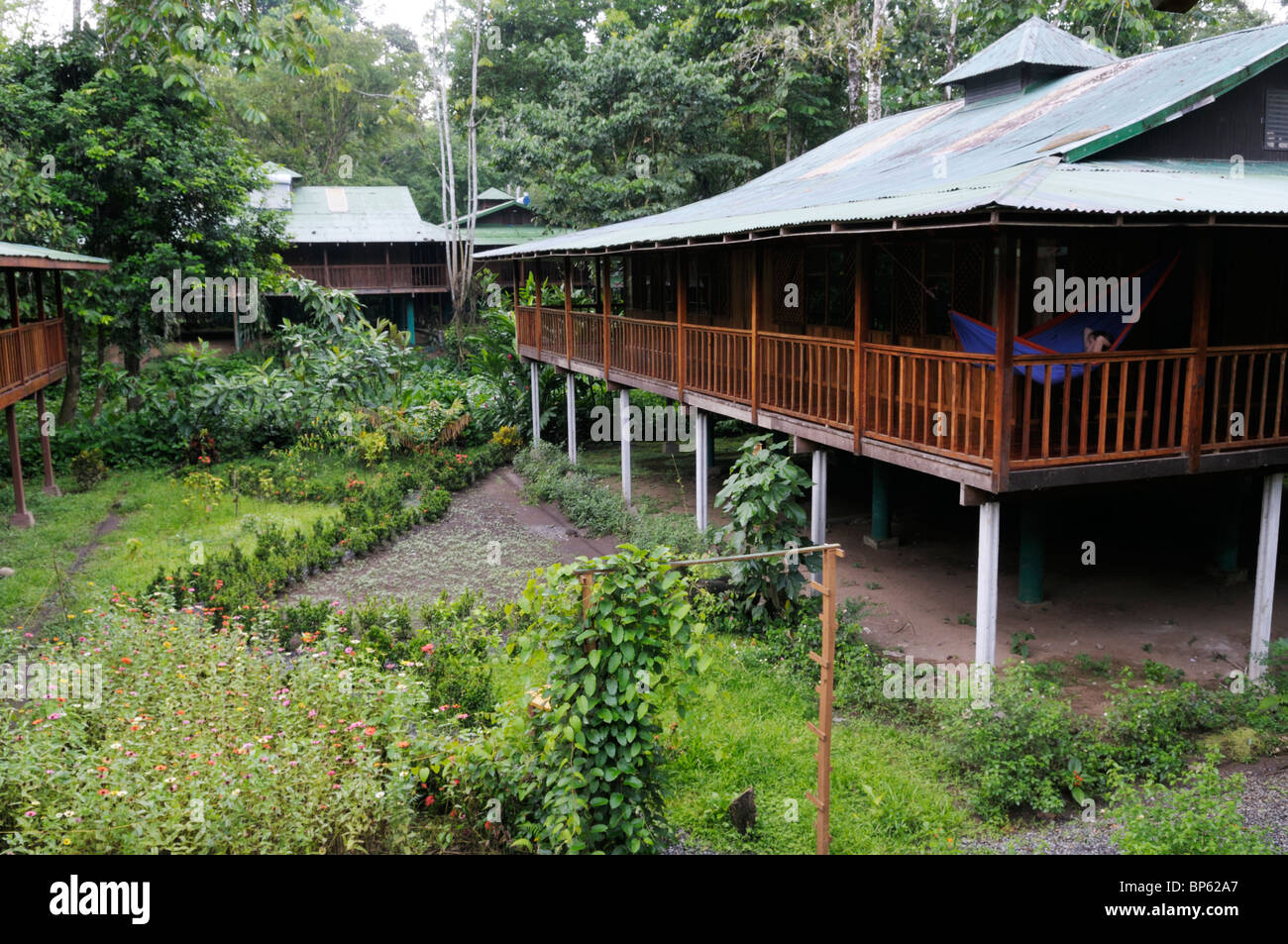 La passerella a Selva Verde Lodge, Chilamate, Costa Rica Foto Stock