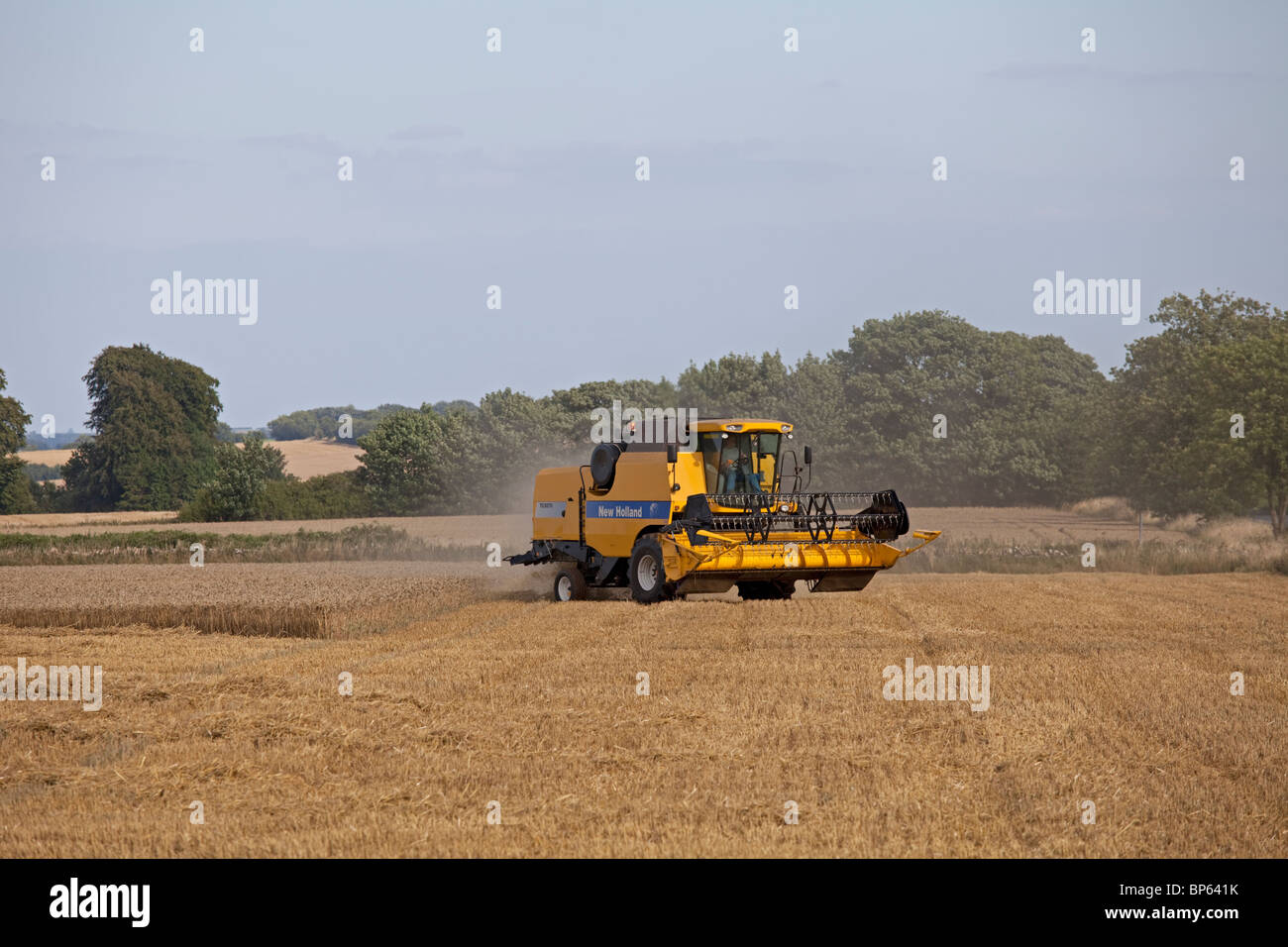 New Holland mietitrebbia la mietitura del frumento campo Costwolds REGNO UNITO Foto Stock
