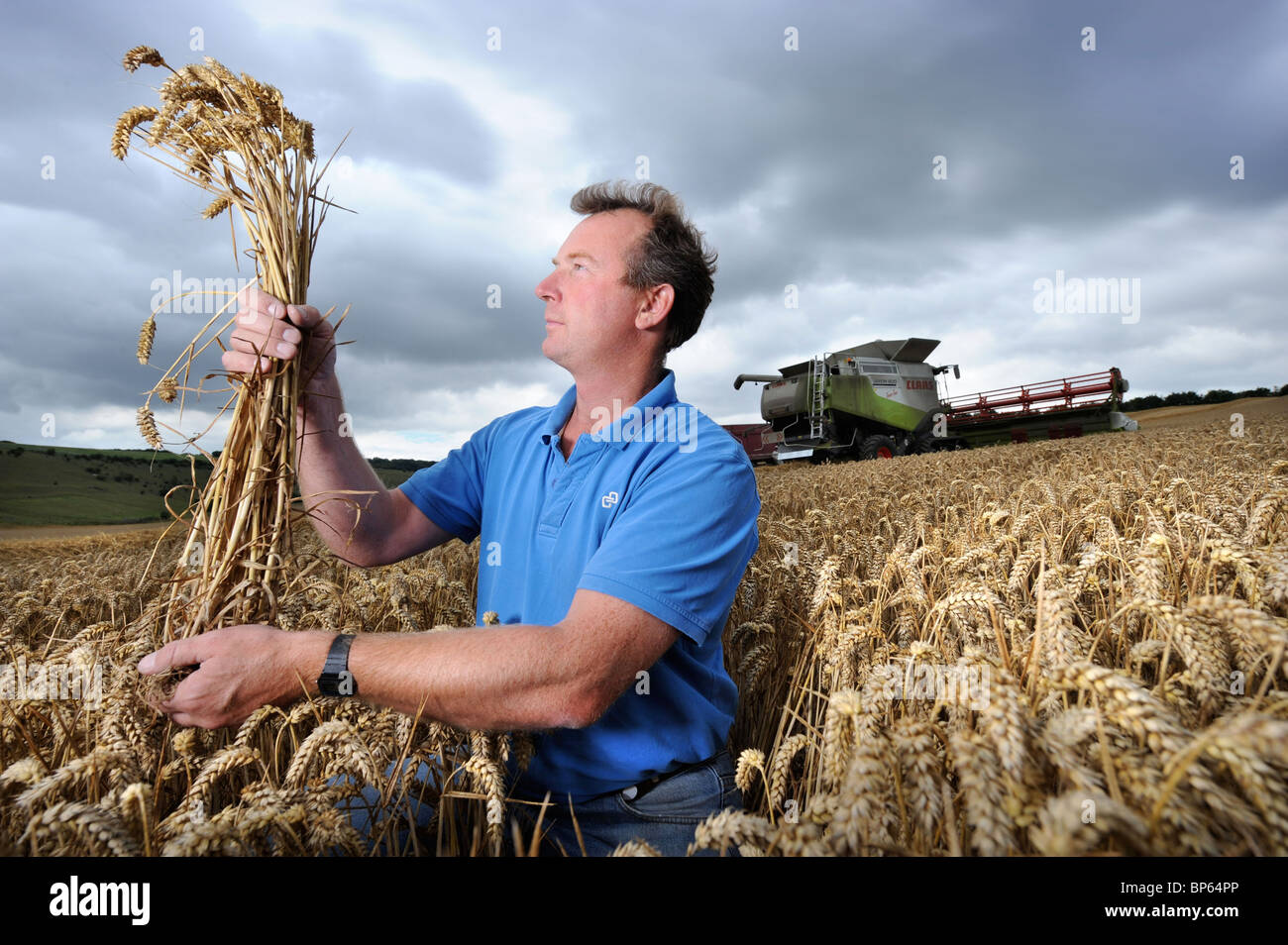 Un agricoltore di seminativi da Wiltshire con una manciata di chicchi di grano REGNO UNITO Foto Stock