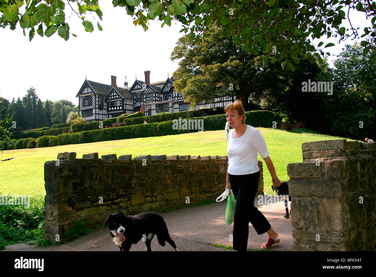 Inghilterra, Cheshire, Stockport, Bramhall Park, donna pochi cani passato Bramall Hall Foto Stock