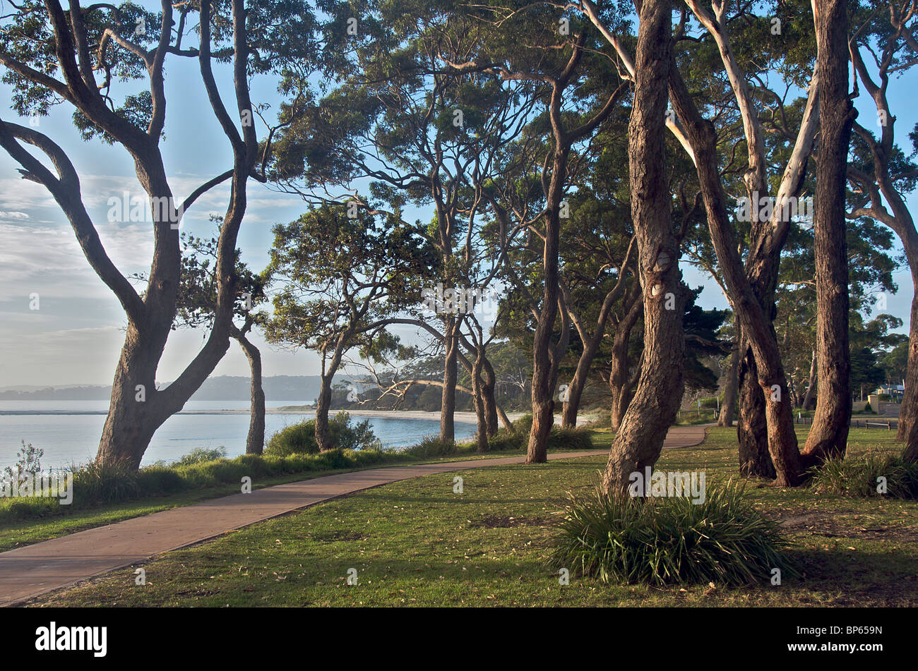 Sentiero costiero Huskisson Jervis Bay NSW Australia Foto Stock