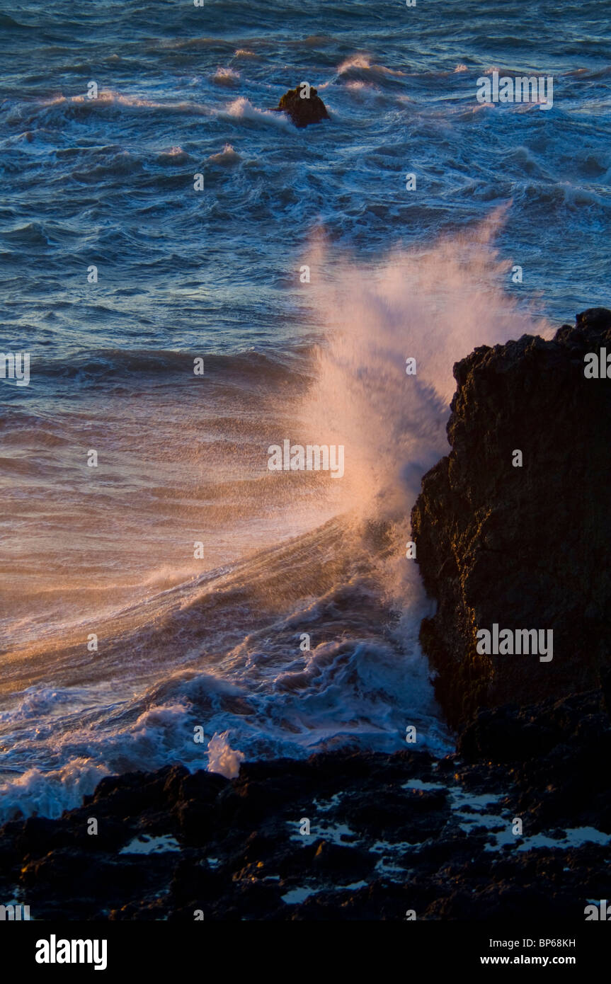 Onde che si infrangono sulle rocce costiere al tramonto, Shelter Cove, sul robusto perso Costa, Humboldt County, California Foto Stock