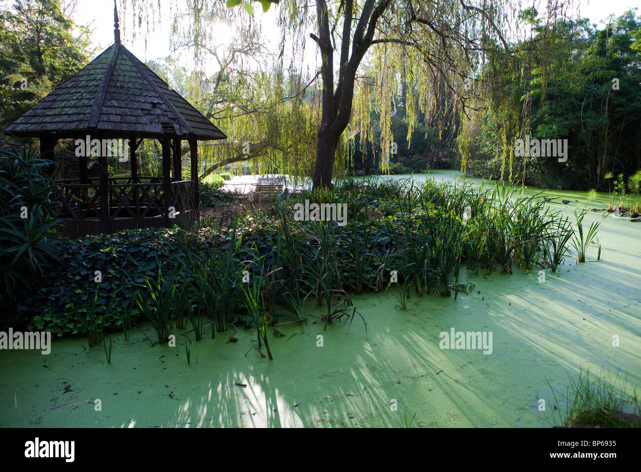 Lago a Rippon Lea station wagon, Melbourne, Australia Foto Stock