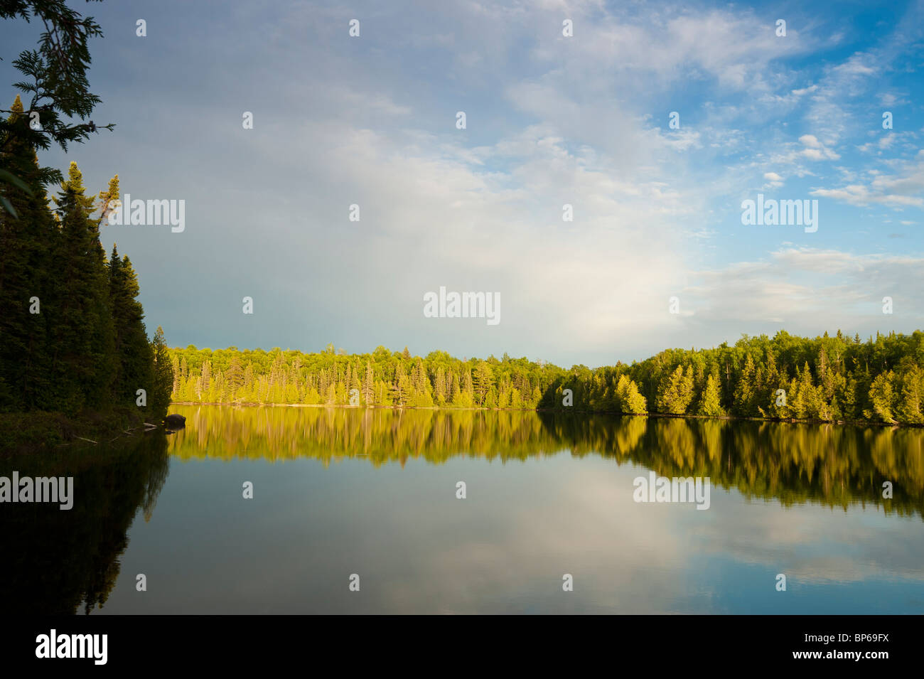 Luce della Sera sul lago di balena Foto Stock