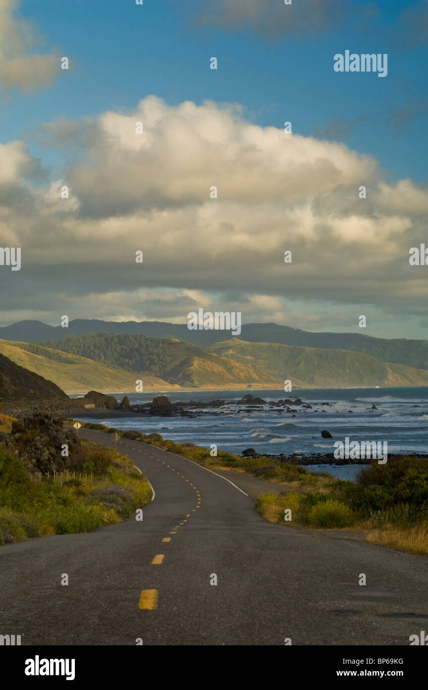 Il Mattole strada lungo l'oceano presso il perso costa vicino a Capo Mendocino, Humboldt County, California Foto Stock