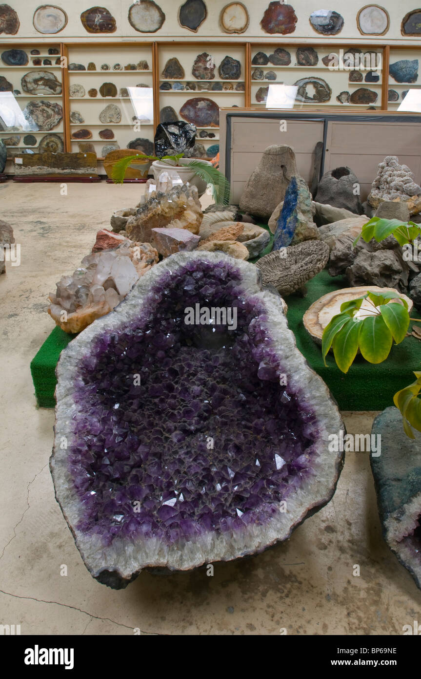 Ametista e altri rock e geologia esemplari sul display a Chapman's Gem & Mineral Shop & Museum Foto Stock