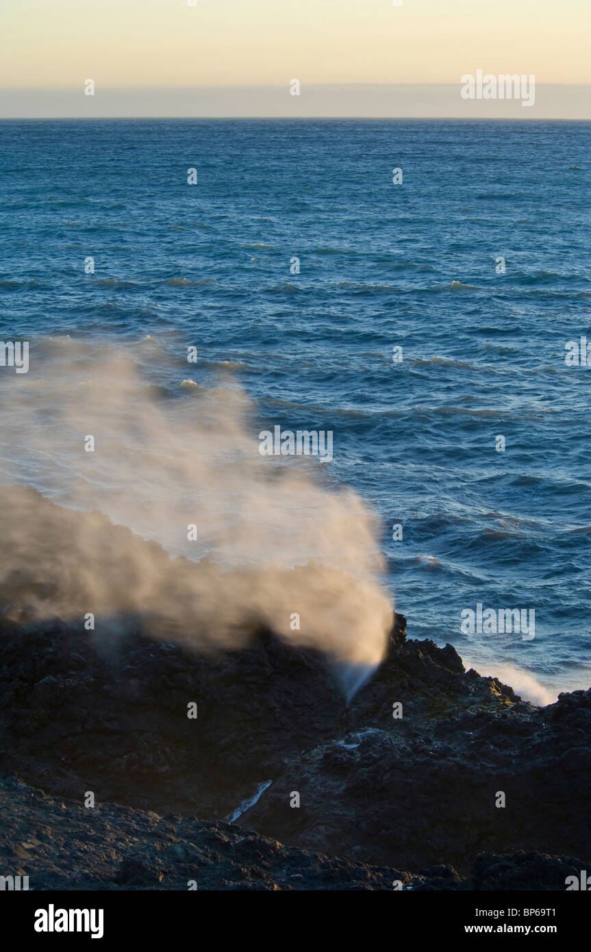 Fiotto di spruzzatura di acqua nel vento da blowhole in rocce costiere, Shelter Cove, sulla costa perso, Humboldt County, California Foto Stock