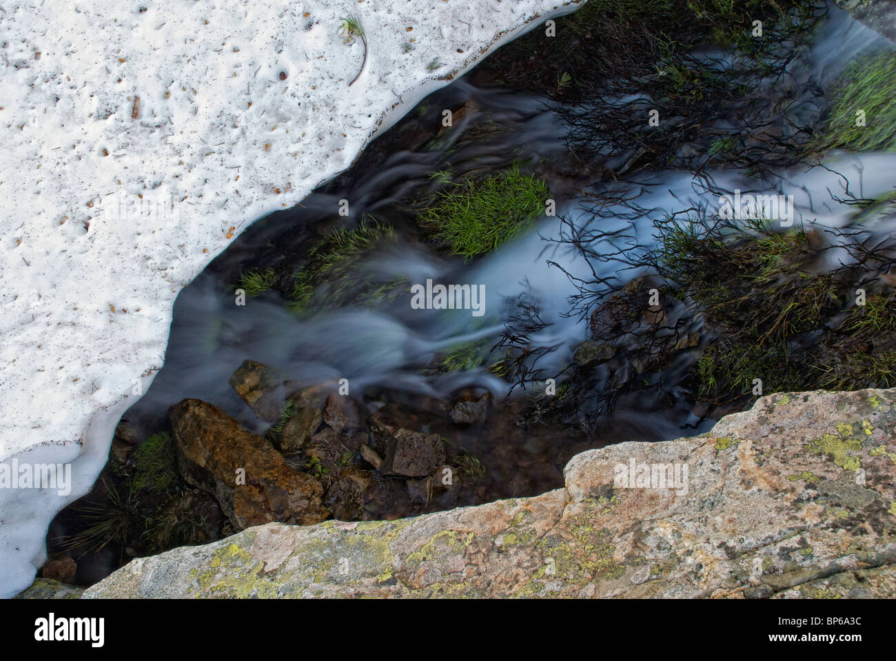 Il flusso sotto la neve. Glaciares Lagunas de Neila parco naturale. Provincia di Burgos. Castilla y Leon. Spagna. Foto Stock