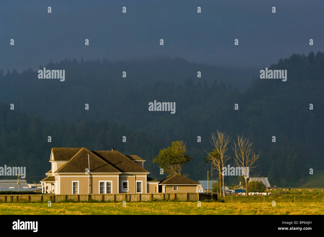 In stile vittoriano agriturismo vicino a Ferndale, California Foto Stock