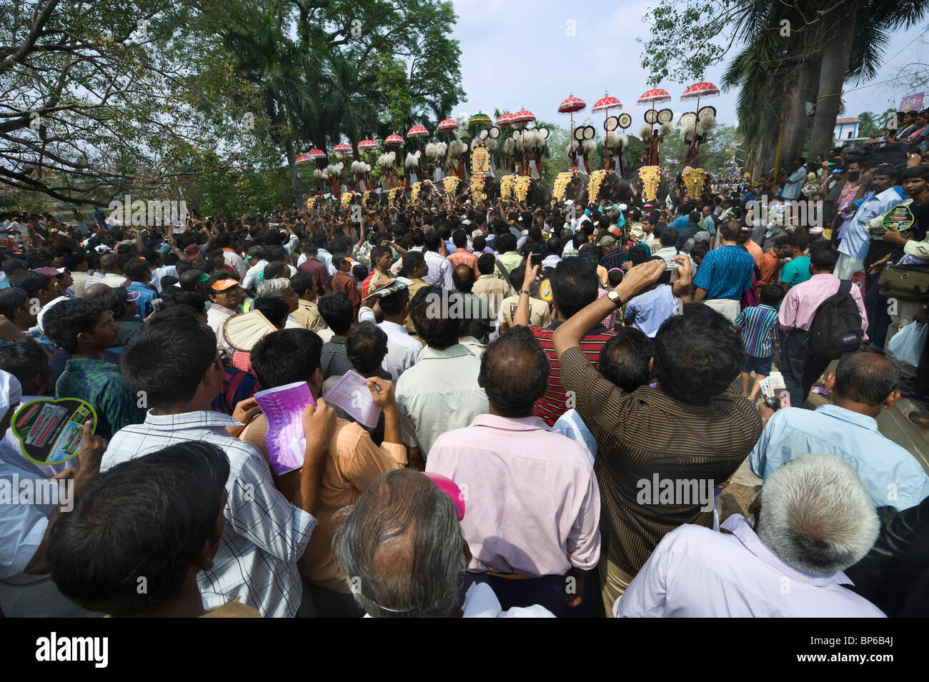India Kerala Thrissur il Pooram Festival di elefante Foto Stock