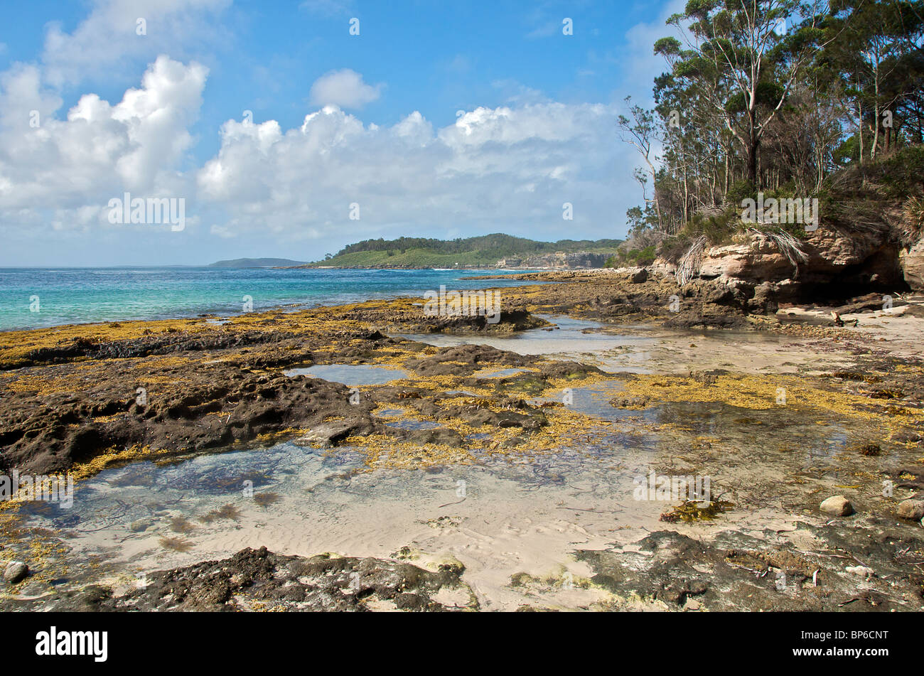 Piscine di roccia Murray's Beach Booderee National Park Jervis Bay NSW Australia Foto Stock
