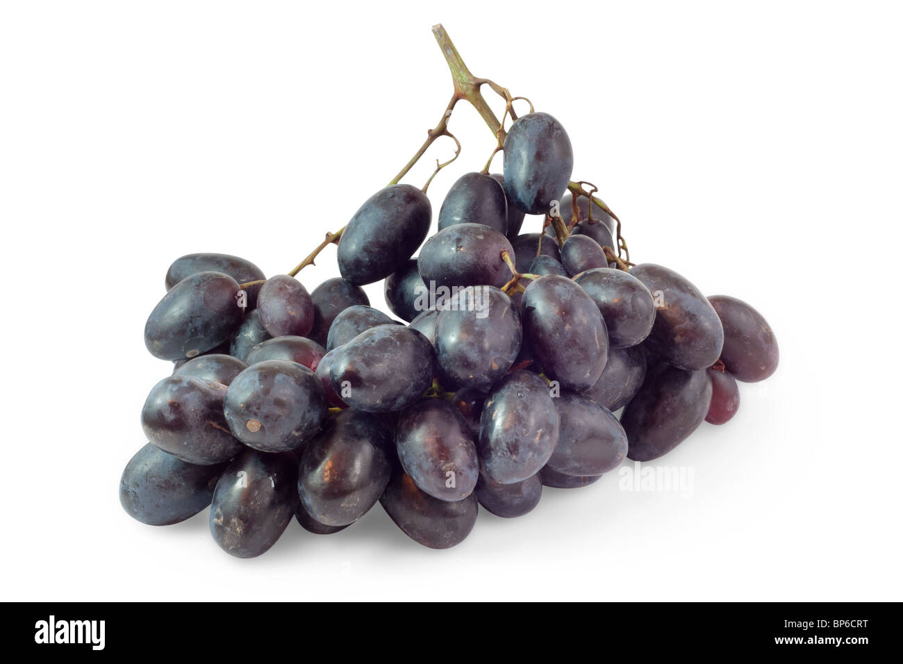 Grappolo di uva nera isolata su uno sfondo bianco sfondo bianco con tracciato di ritaglio Foto Stock