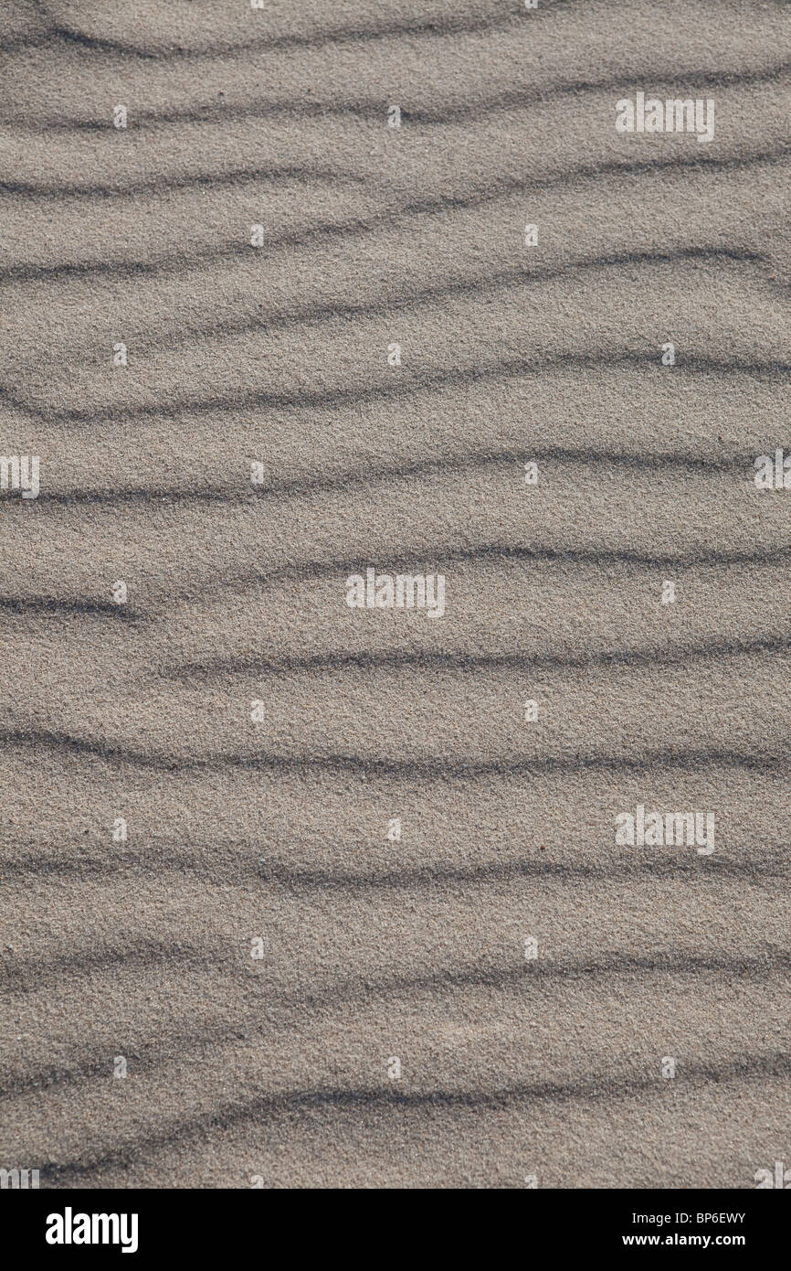 Domburg, strutture nella sabbia Foto Stock