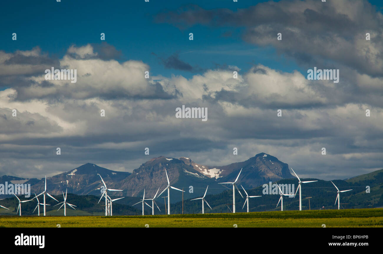 Mulini a vento in corrispondenza dei rulli di estrazione Creek, Alberta, con le Montagne Rocciose oltre, nelle tempeste; Canada Foto Stock