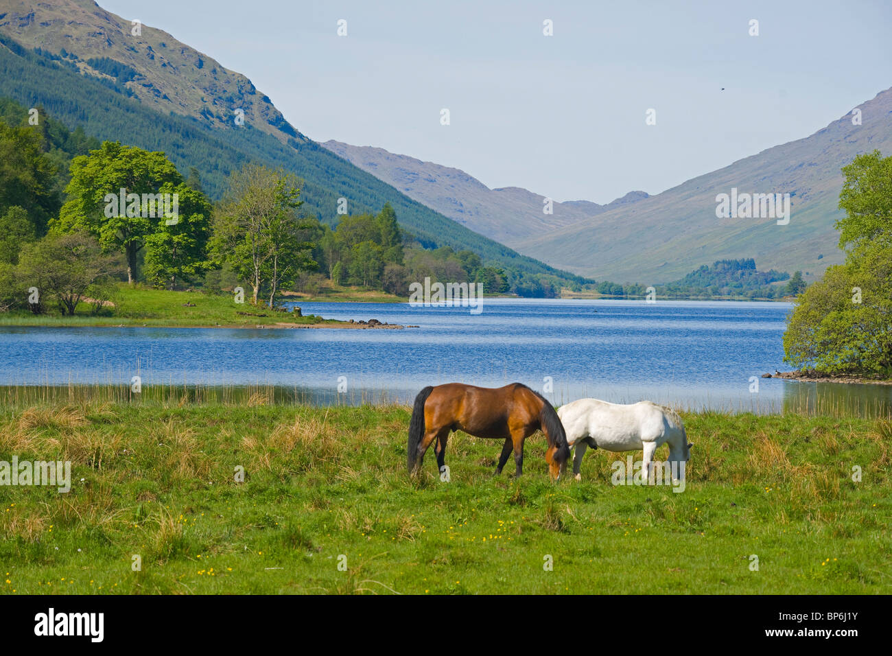Loch Voil, Balquhidder, Stirlingshire, Regione centrale, Scozia. Foto Stock