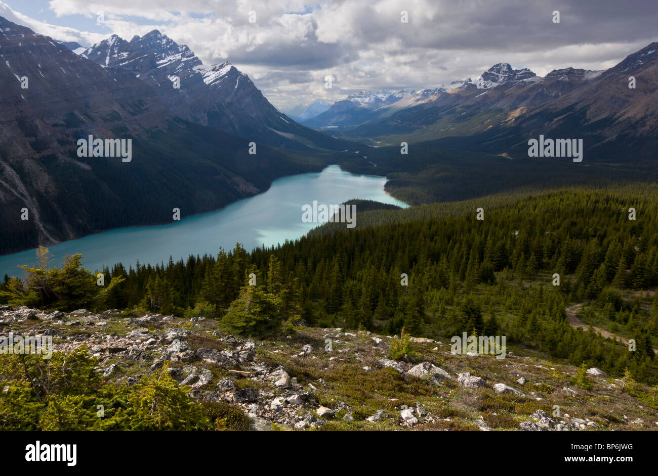 Il Lago Peyto dal Monte Jimmy Simpson, il Parco Nazionale di Banff, Rockies, Canada Foto Stock