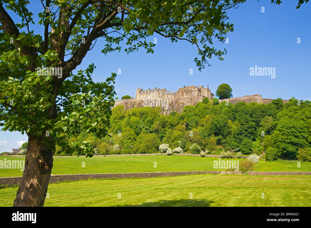 Il Castello di Stirling, molla, Stirlingshire, Regione centrale, Scozia. Foto Stock