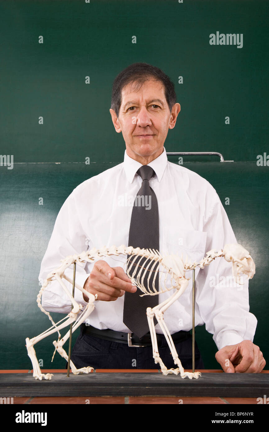Ritratto di un insegnante di biologia con un gatto scheletro Foto Stock