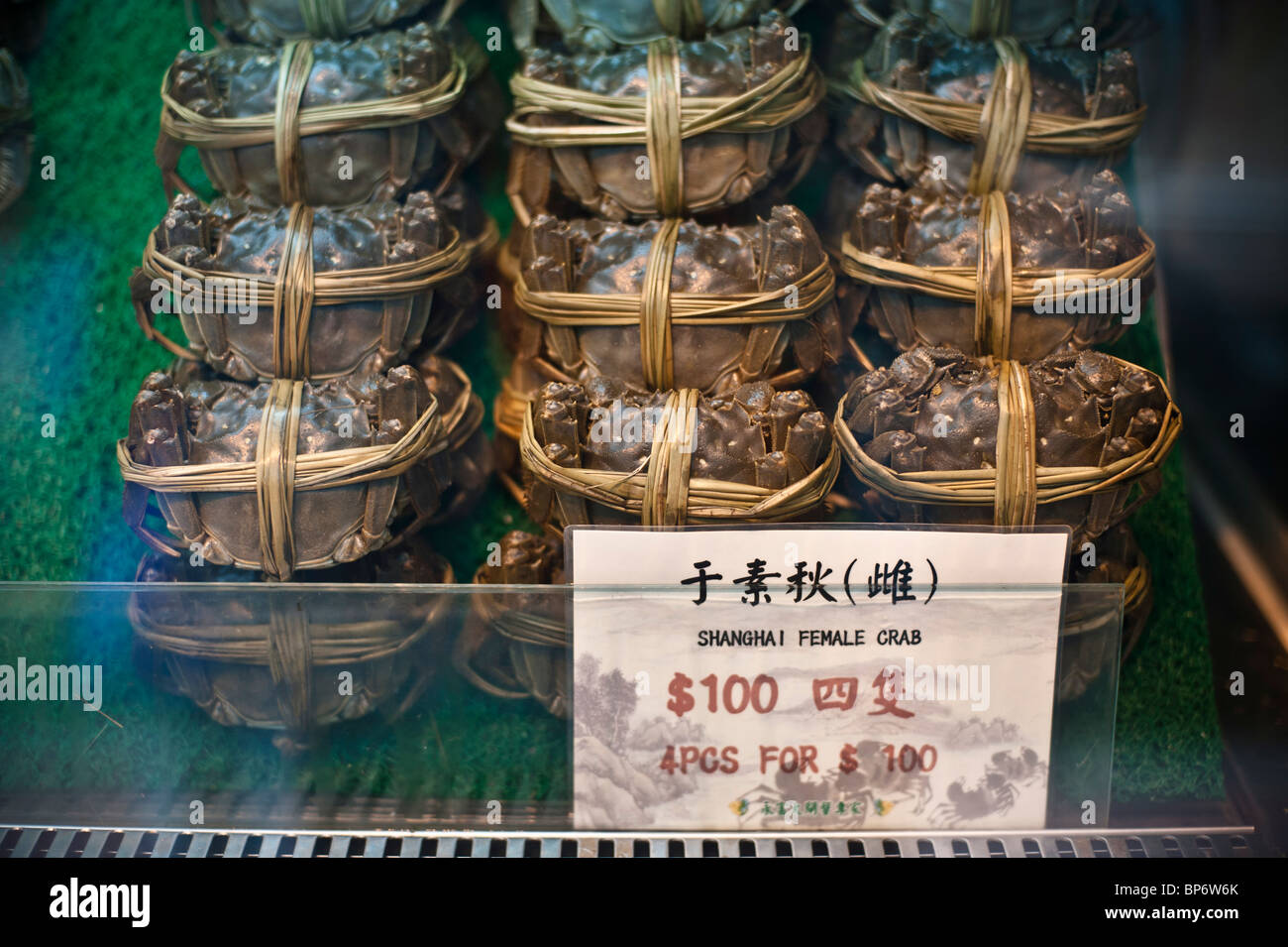I cinesi mitten granchio è una famosa prelibatezza in Shanghai e Hong Kong cucina ed è apprezzata per il granchio femmina roe. Foto Stock