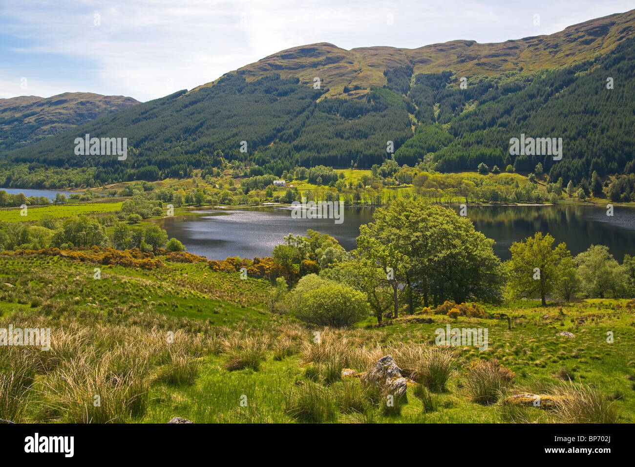 Loch Doine, Balquhidder, Stirlingshire, Regione centrale, Scozia. Foto Stock