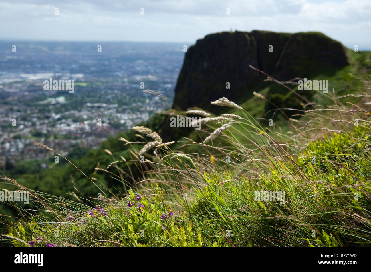 Grotta Hill, Belfast, Irlanda del Nord Foto Stock