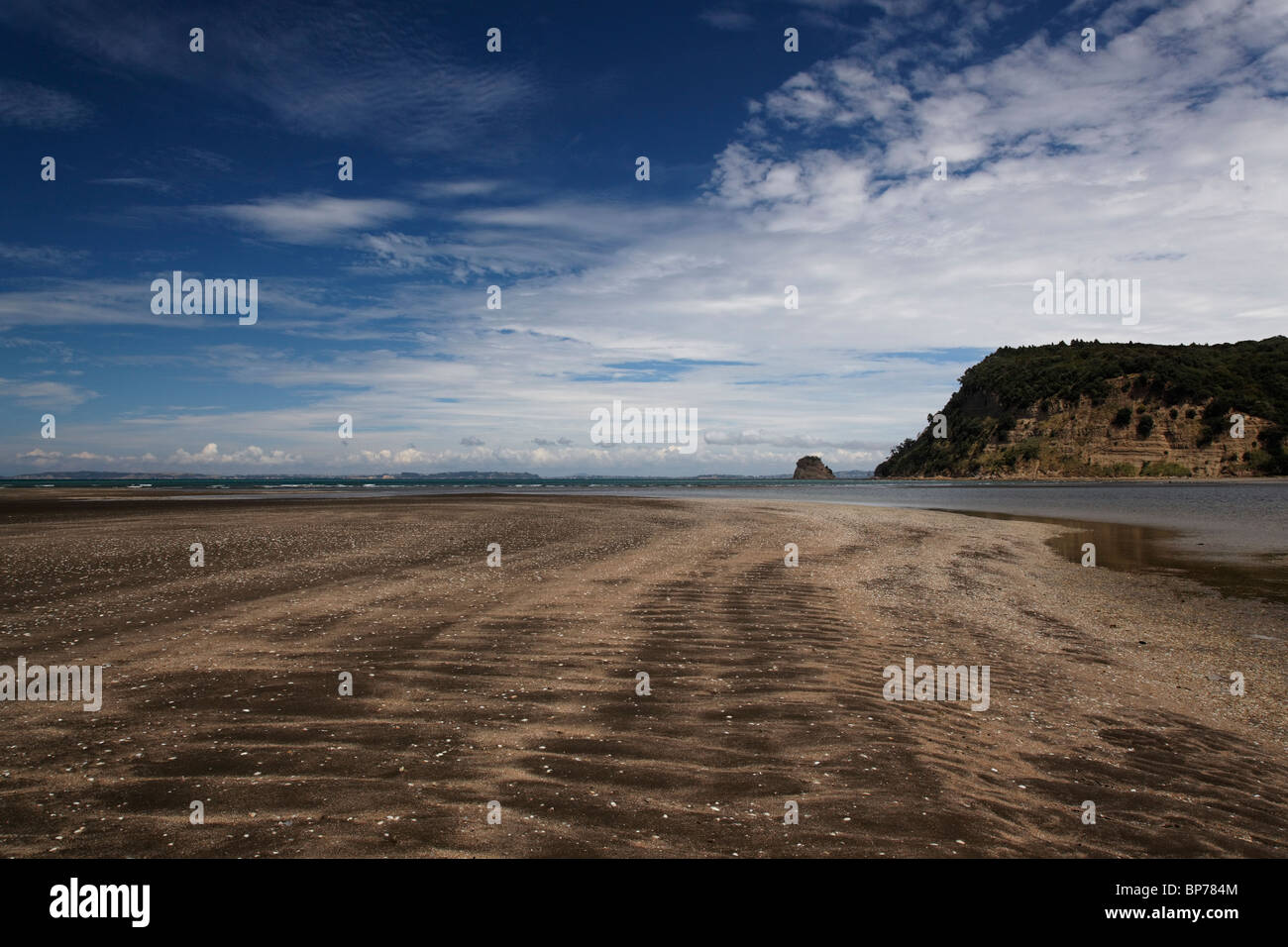 Vista di Wenderholm Regional Park Beach, Nuova Zelanda Foto Stock