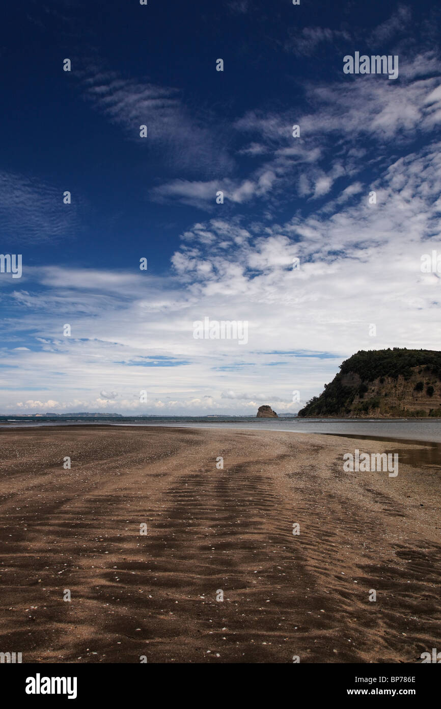 Vista di Wenderholm Regional Park Beach, Nuova Zelanda Foto Stock