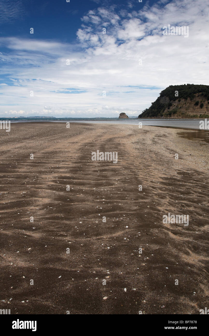 Vista di Wenderholm Regional Park Beach, Nuova Zelanda Foto Stock