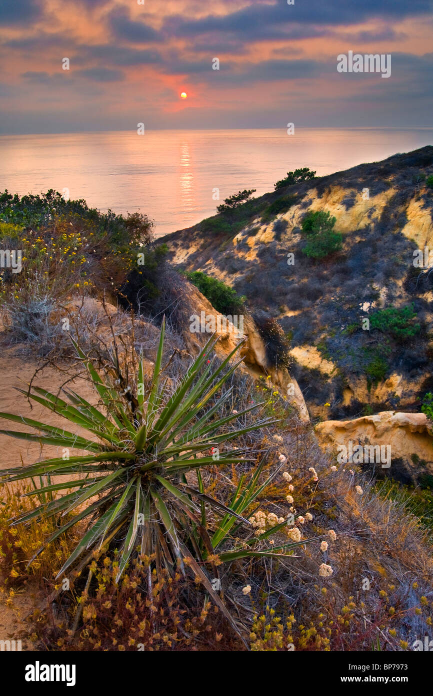Tramonto sull'oceano dal punto di rasoio, Torrey Pines State Reserve, San Diego, California Foto Stock