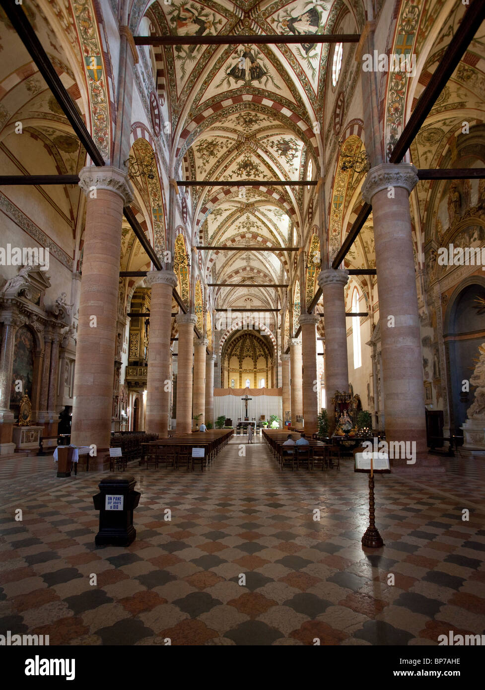 Interno di Sant'Anastasia di Verona che mostra la navata centrale e navate principali Foto Stock