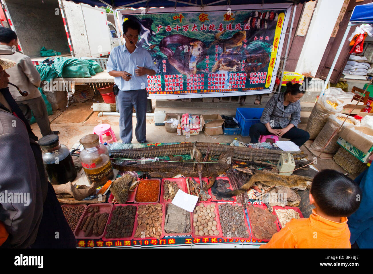 Animali esotici come la medicina tradizionale sul giorno di mercato nel villaggio di Shaxi, nella provincia dello Yunnan in Cina Foto Stock