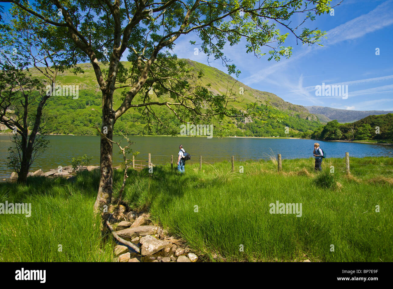 Llyn Gwynant lago, Merionethshire, Snowdonia, Galles del Nord, Regno Unito Foto Stock