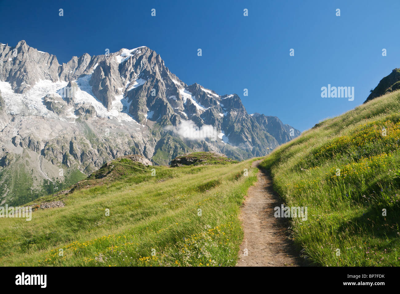 Piccolo percorso nelle Alpi italiane d'estate. Sullo sfondo Les Grandes Jorasses mountain (massiccio del Monte Bianco) Foto Stock