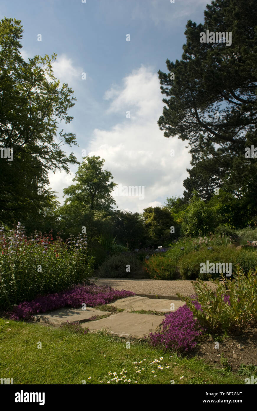 I Giardini Botanici, Sheffield South Yorkshire, Inghilterra. Foto Stock